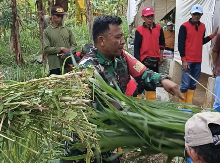 Satgas TMMD 126 dan Dinas Peternakan Malang Latih Warga Lebakharjo Buat Pakan Ternak Berkualitas