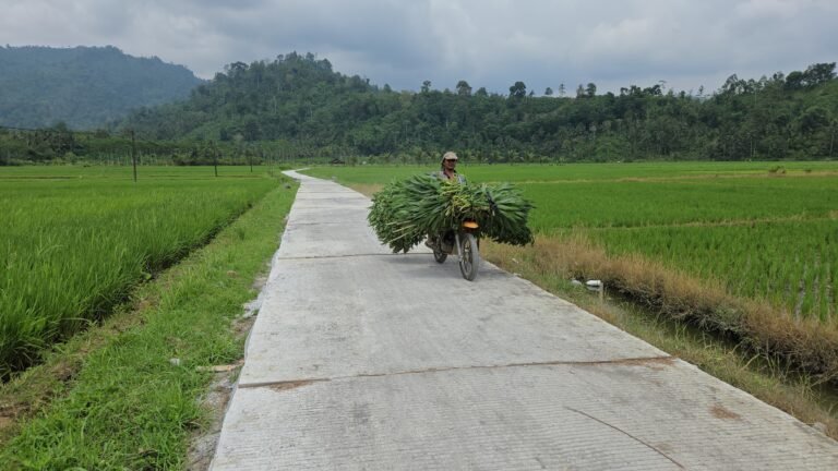 Rabat Beton TMMD ke-126 Permudah Akses Petani Sukomaju, Wujud Nyata Kepedulian TNI bagi Warga Lebakharjo