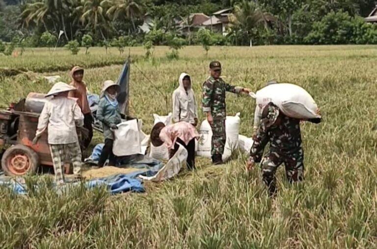 Satgas TMMD 126 Turun ke Sawah, Dukung Ketahanan Pangan di Lebakharjo