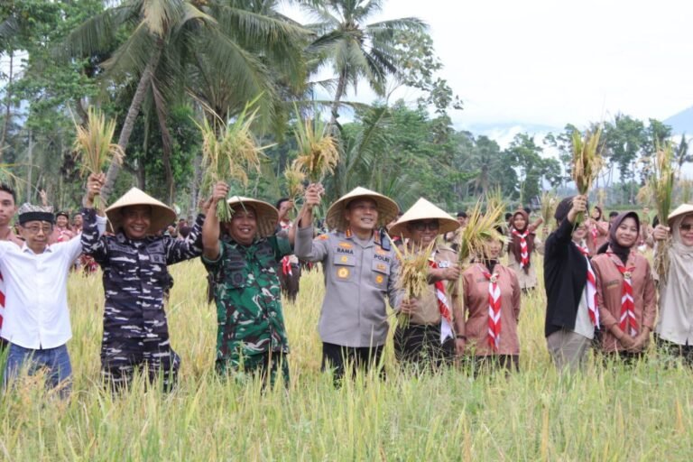 Sempu Bergerak! TNI – POLRI Bersama Pemkab Banyuwangi Wujudkan Swasembada Pangan Lewat Panen Padi dan Tanam Jagung Kuartal IV